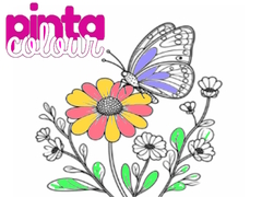 Gioco Pinta Colore in linea