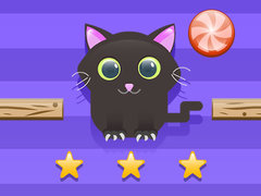 Gioco Sfida del Gatto in linea