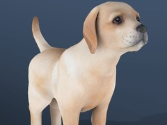 Gioco Animale Domestico Inattivo in linea