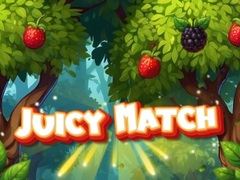Gioco Incontro Succoso in linea