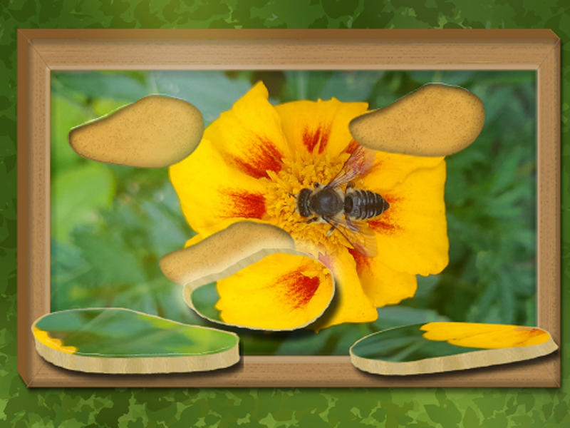 Gioco Trova e ripristinato: puzzle nascosto in linea