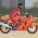 Corse motociclistiche  online