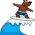 Surf Surf online