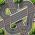 Gare su circuito  online