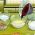 Scuola di cucina Scuola di cucina online