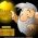 cercatore d'oro  online