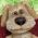 Cane Cane online