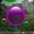 Bolle  online